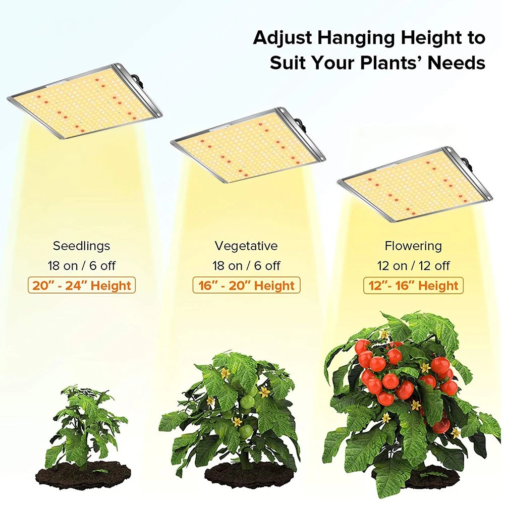LED Grow Light Indoor Plant Grow Light Hangers Adjustable Full Spectrum Grow Light for Seedling Veg Flower Fruits Succulent Hemp Quiet Hydroponic Grow Light