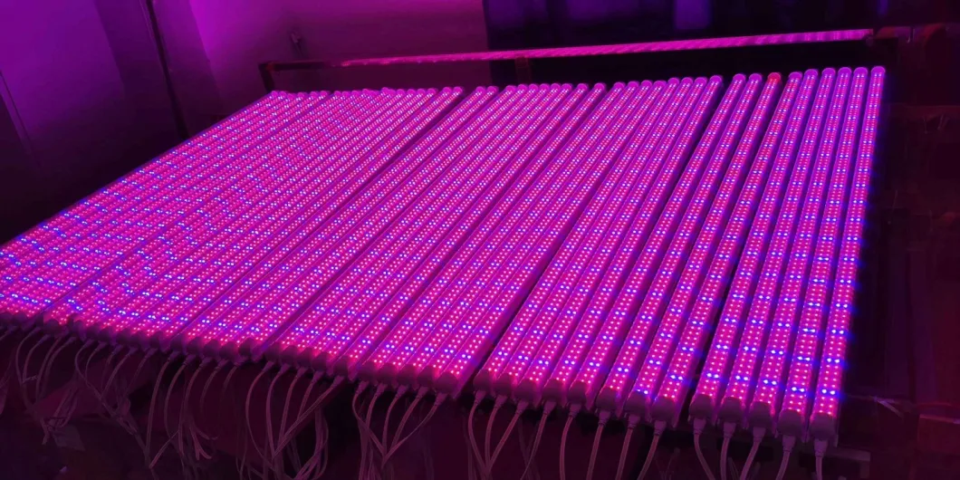 Agriculture LED Light 1200W Full Spectrum LED Grow Light