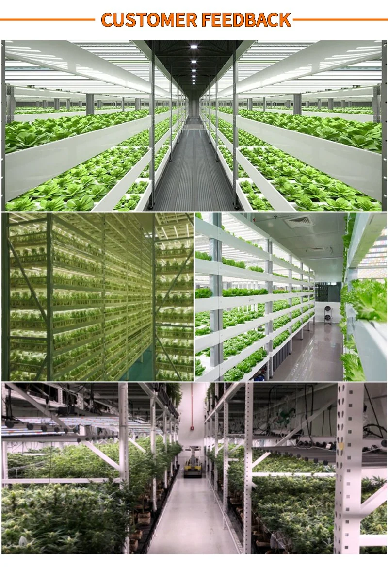 1000 Watt Plant Spider Greenhouse COB Fluence 4000W LED Grow Light Full Spectrum 2020