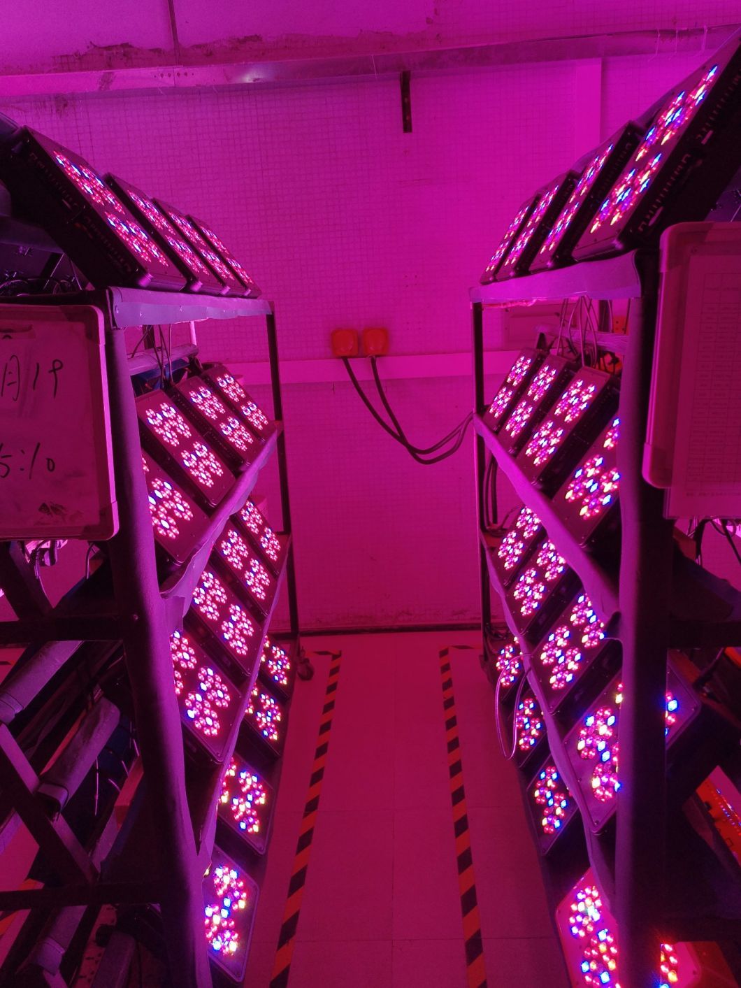 Apollo 16 720W Full Spectrum Greenhouse LED Grow Lamp