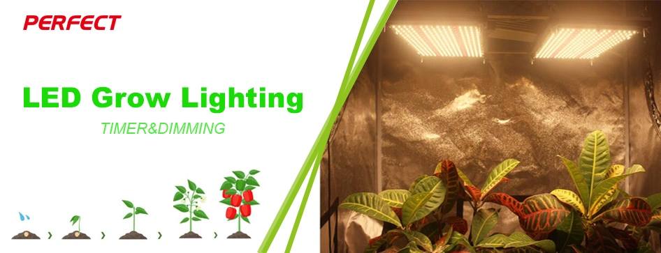 LED Grow Light Sam-Sung Lm301b Full Spectrum Indoor Plant Grow Lights with Stock in Us UK Ca De Warehouse