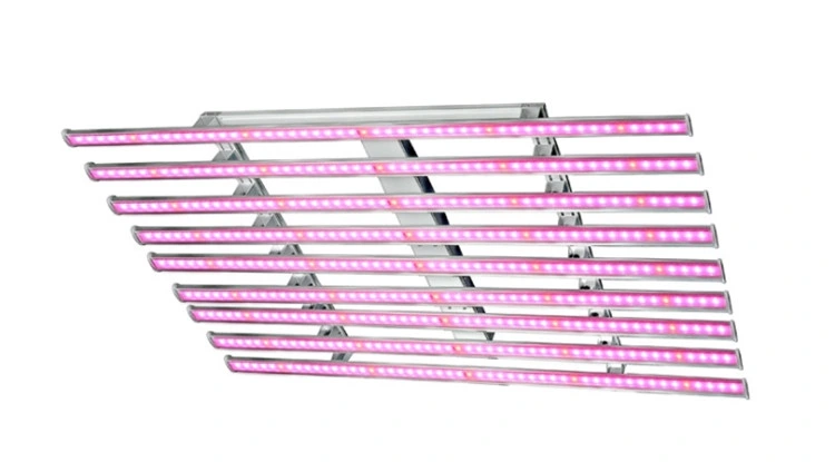 OEM Spectrum LED Horticulture Light 640W/ 800 W/ 960W/1200W for Different Vegetables and Fruit in Greenhouse in Gardening Growing Indoor Plants Light