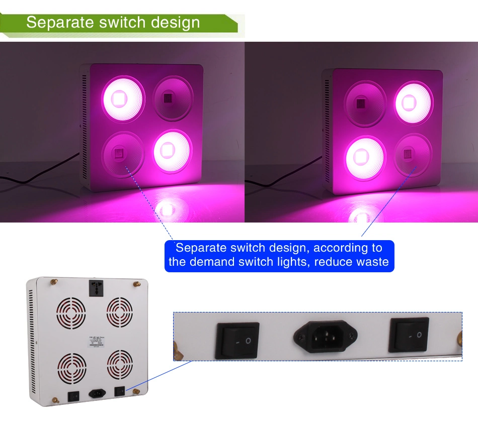 800W COB LED Grow Light Full Spectrum with Reflector