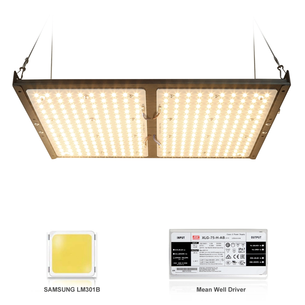 Professional Full Spectrum Lm301b LED Quantum Board Grow Light for Indoor Greenhouse Lighting