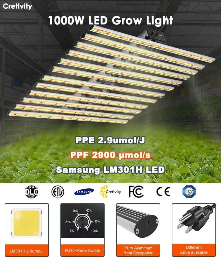 640W 800W 1000W Samsung Lm301b LED Grow Light Horticulture Cultivation 720W LED Grow Light Bar