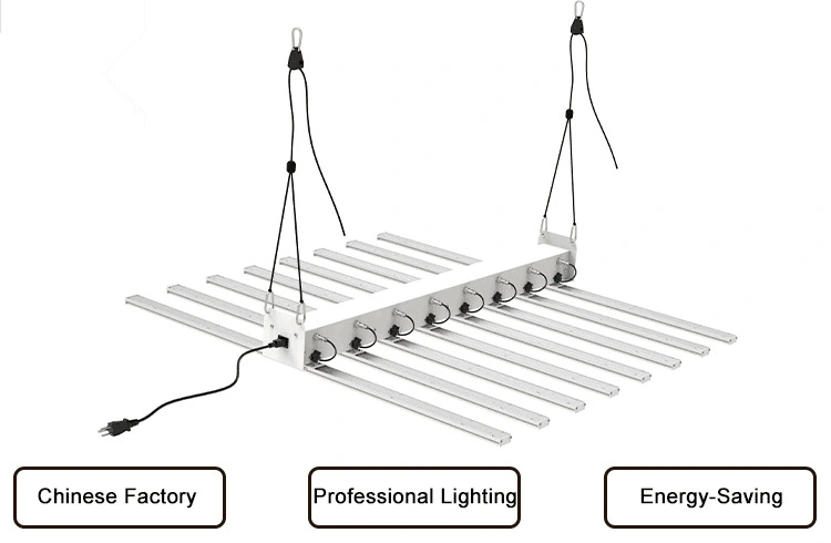 Best LED Grow Light Dimming 800W Grow Lights Waterproof Horticulture Grow Light for Flowering