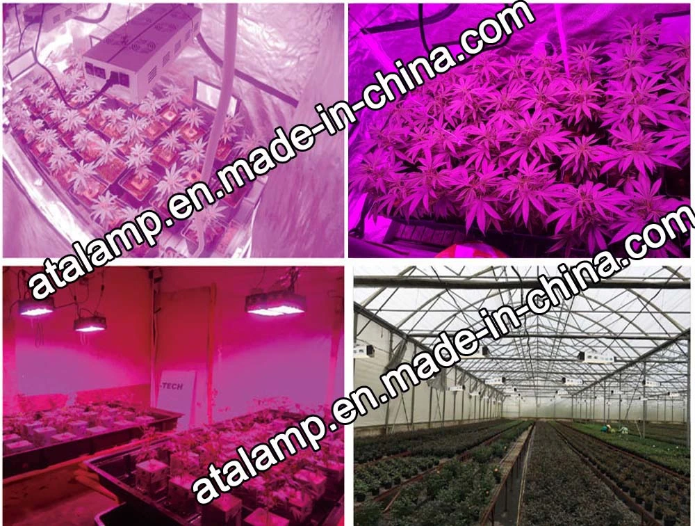 Full Spectrum High Power LED Plant Grow Light 300W/400W/500W/7000W/900W/1000W/1200W LED Grow Light for Greenhouse Plants - LED Grow Light