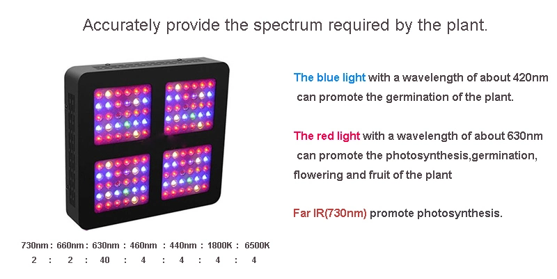 600W Reflective Cup Full Spectrum LED Grow Light Greenhouse LED Plant Grow Light