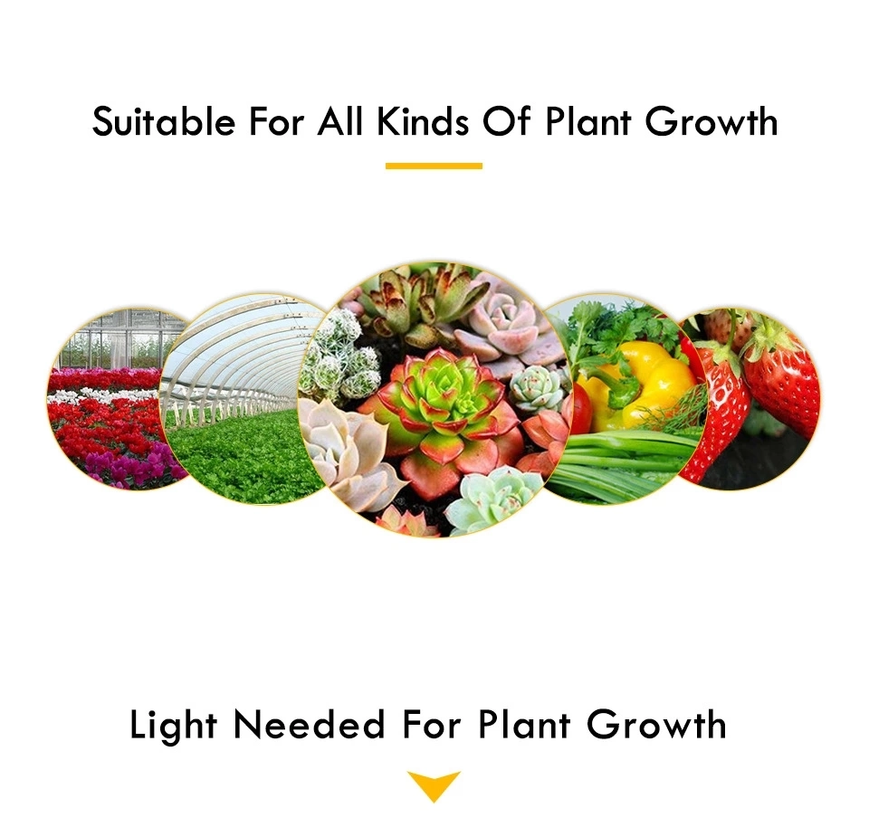 Indoor COB Greenhouse Plant Growth Full Spectrum LED Grow Light