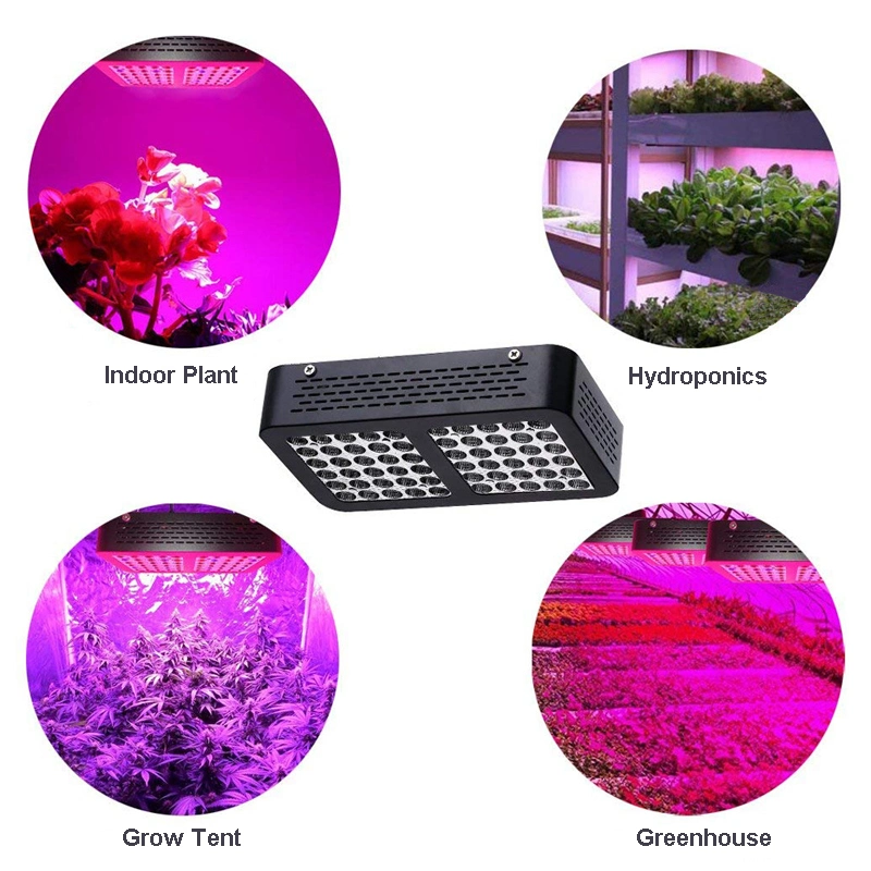 300W Reflective Cup Full Spectrum LED Grow Light Greenhouse LED Plant Grow Light