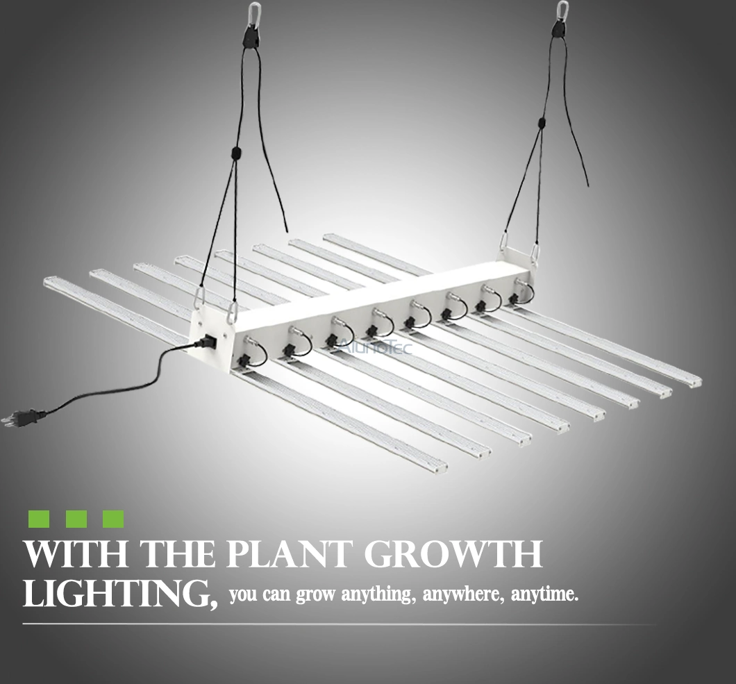 Fluence LED Grow Lamp Garden Medical Plant LED Grow Light
