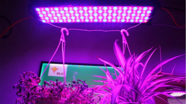 210W LED Grow Light Greenhouse Plant Flowering Growing
