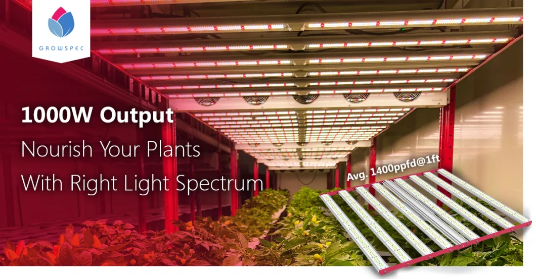 High Quality Spider LED Grow Light Gavita Grow Lights 1000 Watt Gavita PRO 1700e for Medical Plant