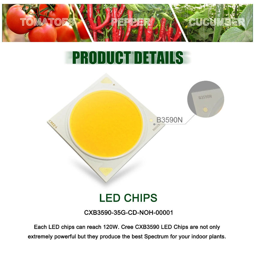 2020 Best LED Grow Light Full Spectrum Horticultural Agriculture Strawberry Cxb3590 LED Grow Light Plants