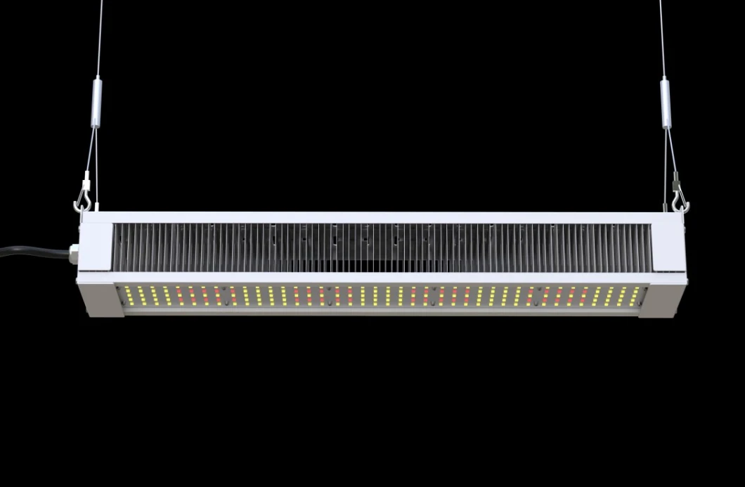 Fluence 2020 Updated 640W Full Spectrum Lhp LED Grow Light for Greenhouse and High-Bay Growers
