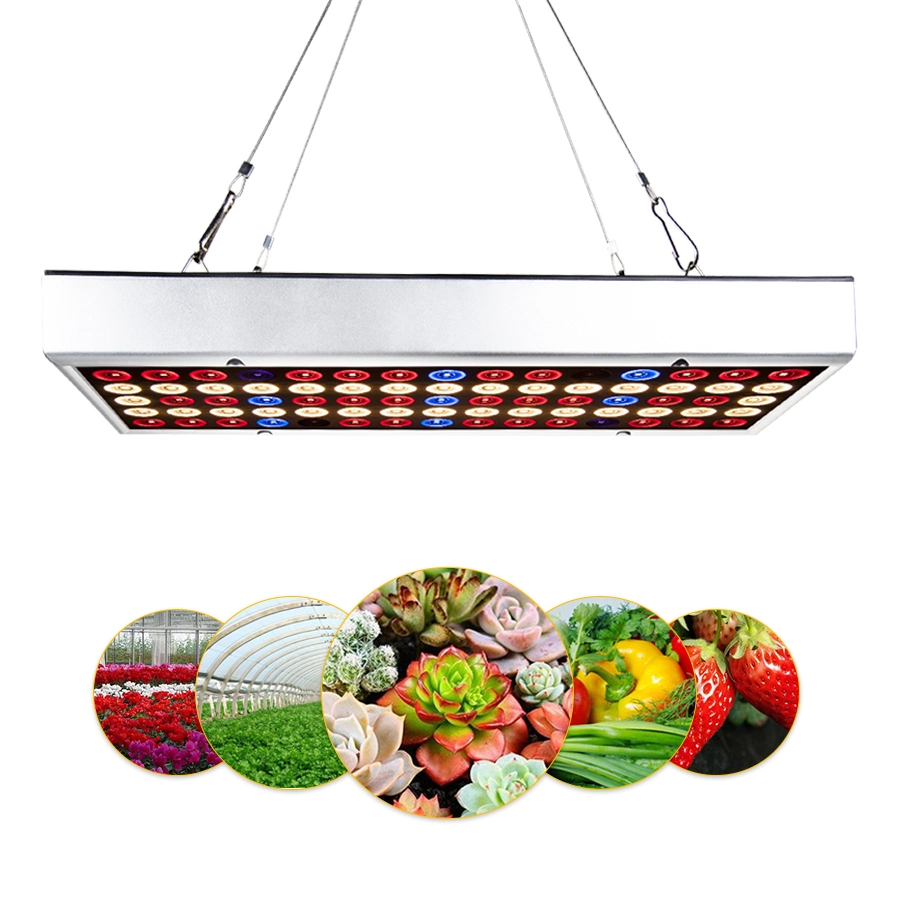 LED Grow Lamp Full Spectrum Plant Grow Lights for Indoor Plants