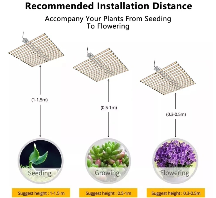 LED Plant Growth Lamp 480W Samsung Lm301h 660nm 3000K Full Spectrum Plant LED Grow Light for Indoor Plant