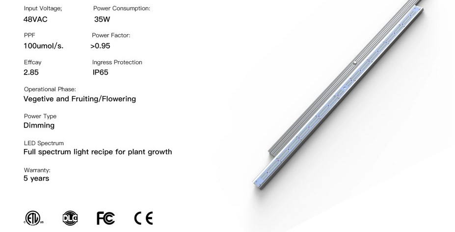 35W 75W LED Grow Light for Vertical Hydroponic Growing System