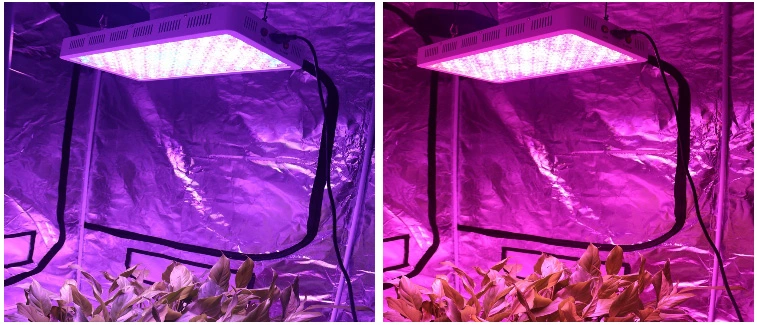 Full Spectrum Reflector 1200W LED Grow Light for Hydroponic Veg Flower HPS Killer