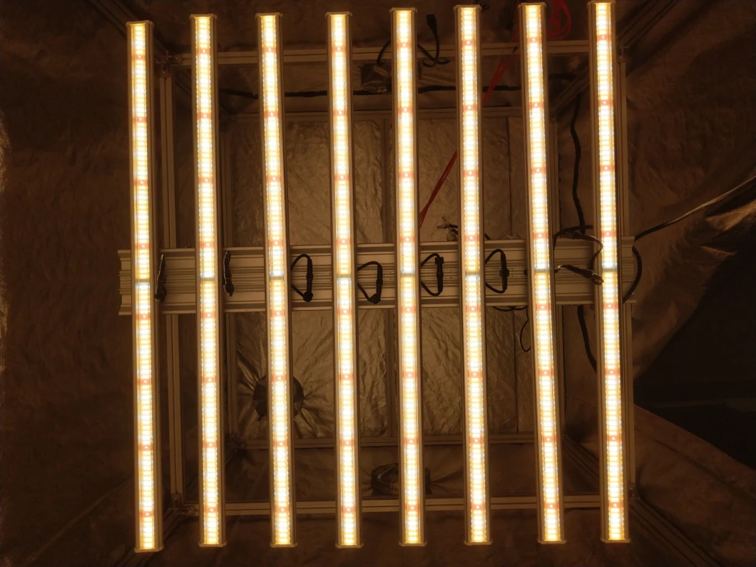 Indoor LED Grow Light 600W Fluence Spydr2p