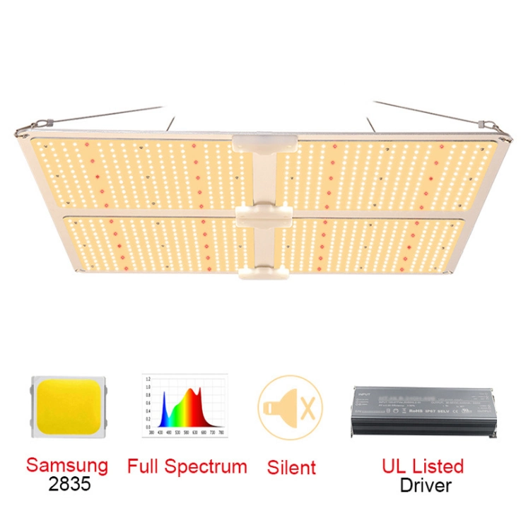 LED Grow Light 600W Plant Lamp with Factory Best Price