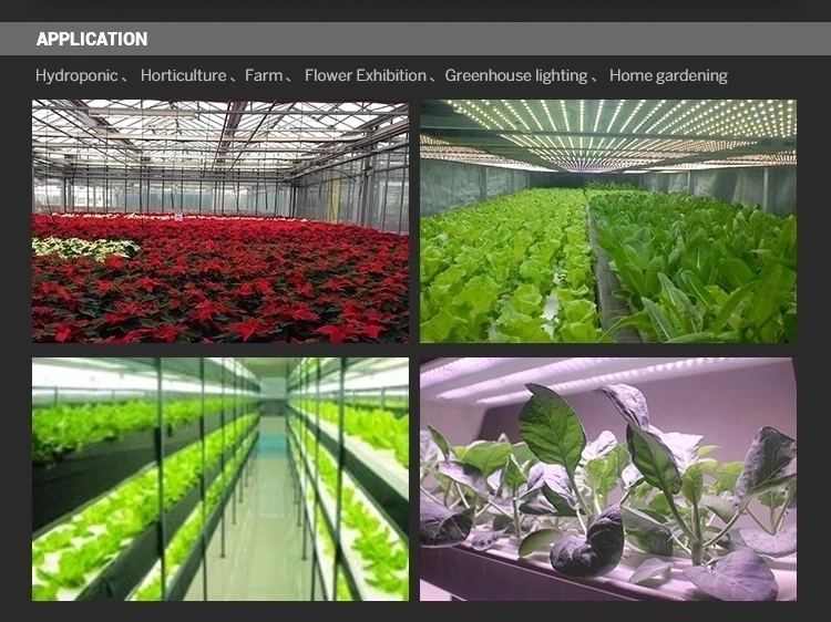 Full Spectrum Waterproof Horticulture Engines Linear Modules Vertical Farm 1000W LED Grow Light Bars Light