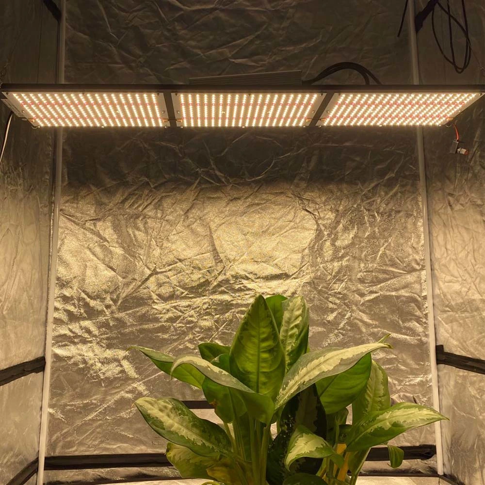 320W Sunlike Full Spectrum Grow Lamp Plant Light for Succulent, Bonsai, Hydroponics Flower, Vegetable Growing,