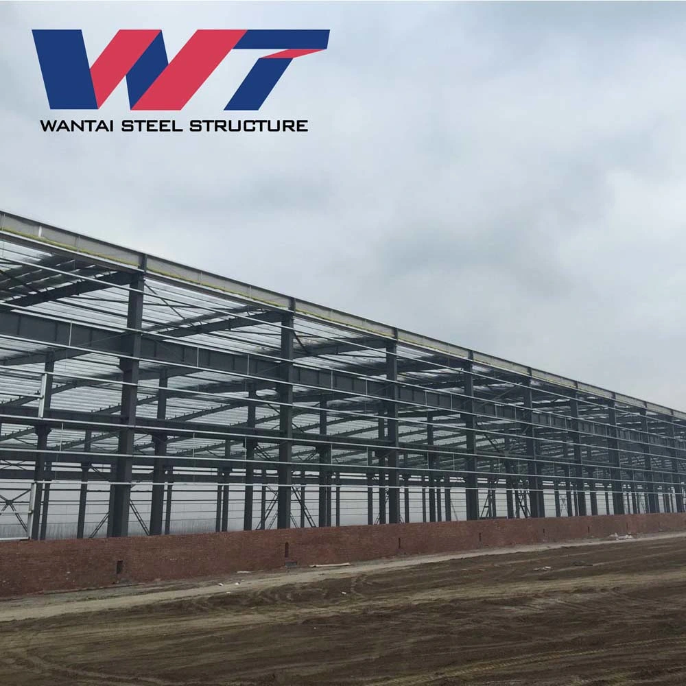 Light Industry Commercial Agricultural Warehouse Steel Structure Building