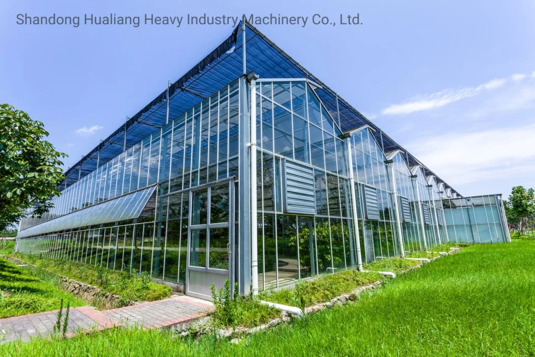 4mm Clear/ Horticulture Tempered Glass for Greenhouse