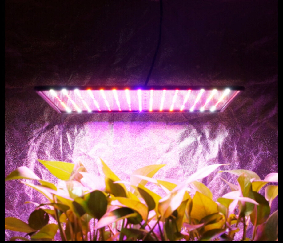 LED Grow Light Full Spectrum LED Plant Light for Indoor Plants Seed Flowers