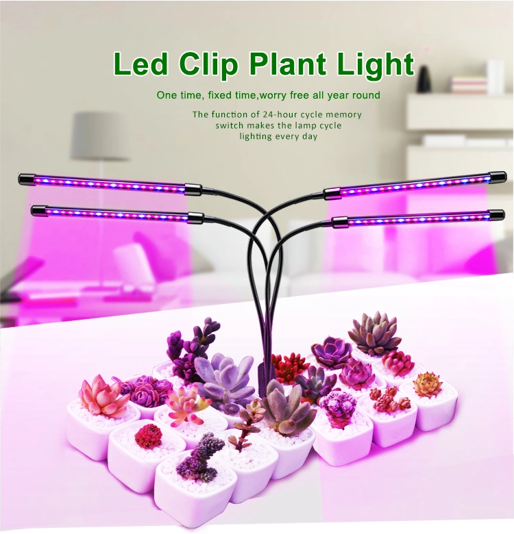 CE RHOS FCC USB Clip Mini Growth Lamp LED Plant Light for Household Plants