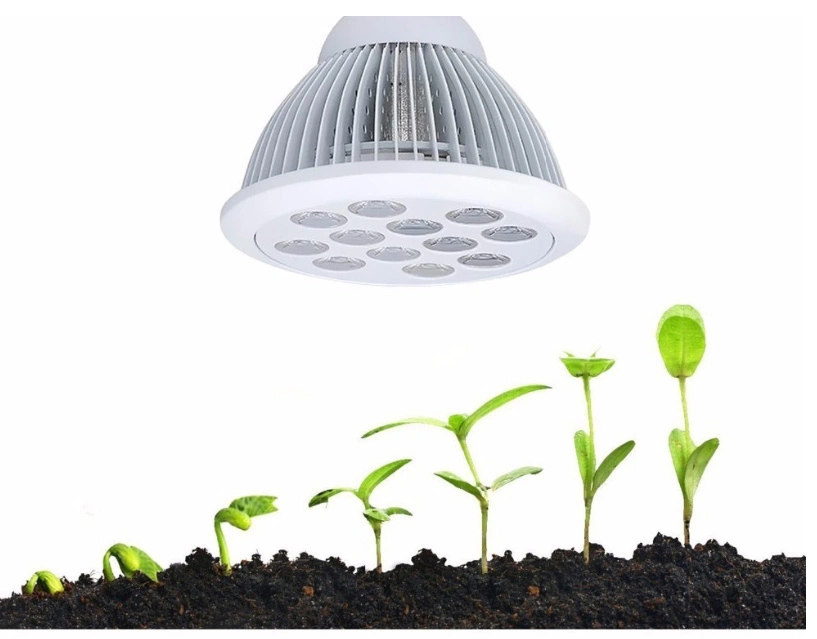 12W 24W E27 PAR38 Plant Light Bulb for Potted Plants