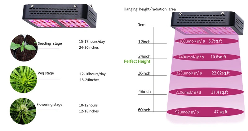 300W Reflective Cup Full Spectrum LED Grow Light Greenhouse LED Plant Grow Light