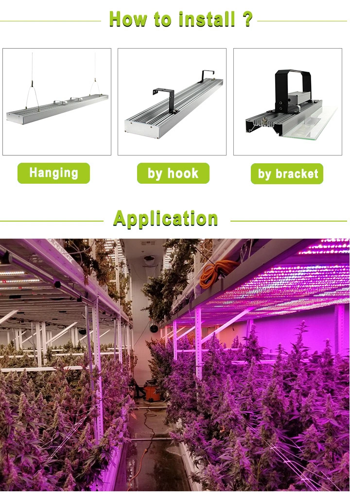 IP54 Waterproof LED Plant Grow Light Suitable for Greenhouse Lighting