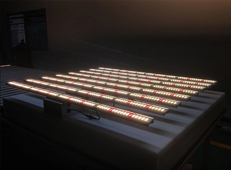 Full Spectrum LED Light Growing Light for Indoor Plants Vegetables and Flowers