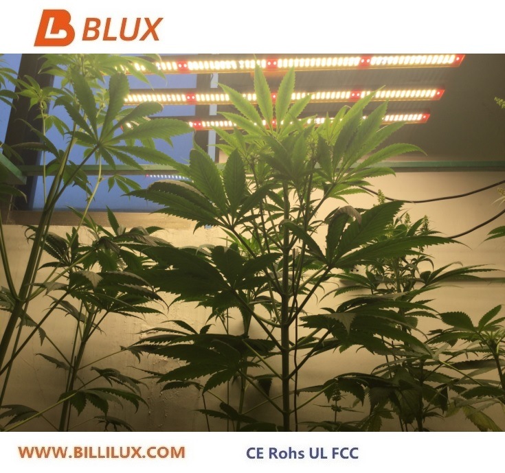 Samsung Lm301b Quantum Bar Plant Grow Light LED Grow Light 640W Vertical Growing Hydroponics System