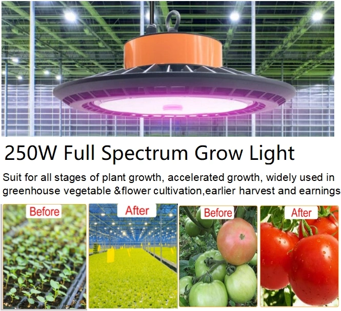 Full Spectrum Grow Light UFO LED Plant Grow Lights for Indoor Greenhouse Plants Growing