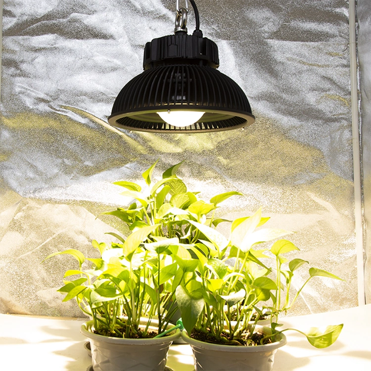 High PAR Value 285W Cxm32 Gen4 3500K Warm White COB LED Grow Light for Indoor Plants