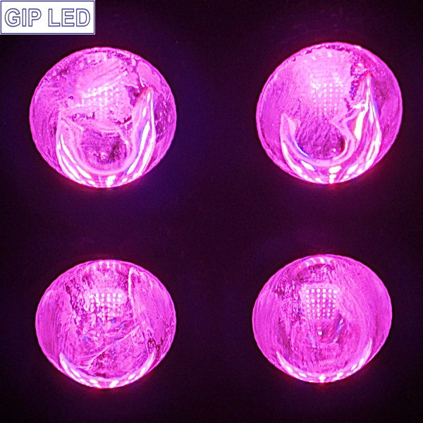 New Arrival 2016 Hot Selling 504W 1000W LED Grow Lights