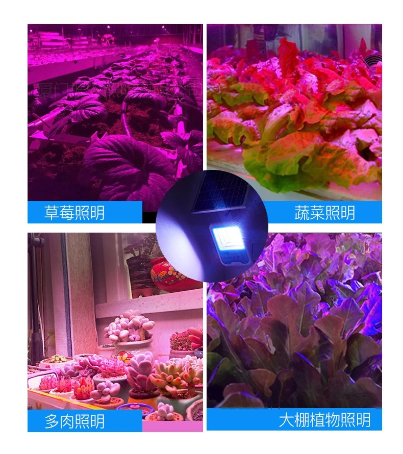 Multi-Function Bluetooth Solar Flood Light RGBW Outdoor Landscape Lighting Plant Lighting Solar Floodlight