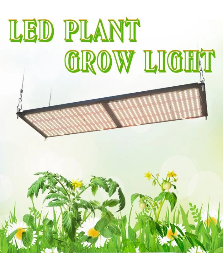 Full Spectrum Grow Light for Seedling Veg Flower Fruits Succulent, Quiet Hydroponic Grow Light