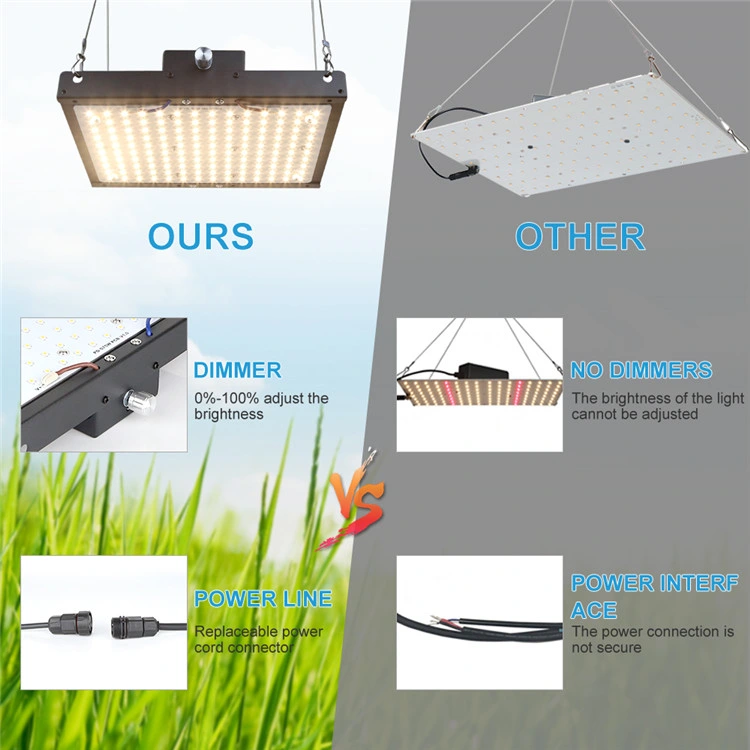 Full Spectrum Grow Light Kit for Indoor /Outdoor Planbts Growing