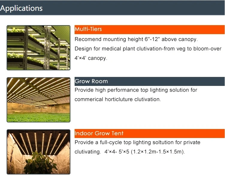Greenhouse Hydroponic Indoor Plants Veg/Bloom 1000W LED Grow Lights