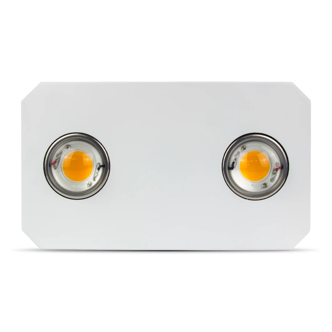 900W COB LED Grow Light with Citizen 3500 5000K and Two Switch Control