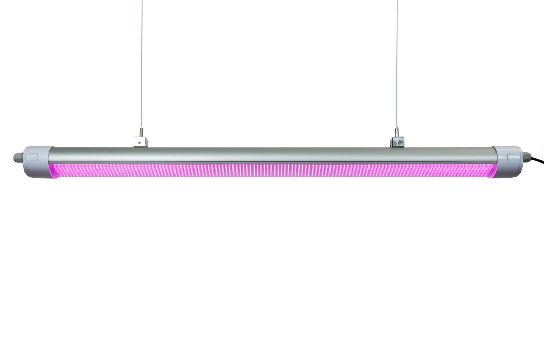 160LMW LED Grow Lights Pink Spectrum / Full Spectrum Waterproof 150W with Medical Seedling/Tomato Plant Growing