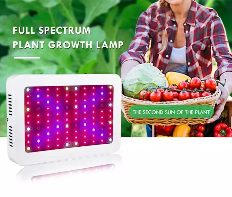 300 Watt Full Spectrum Best Lights Fixture for Indoor Growing Plant LED Grow Light