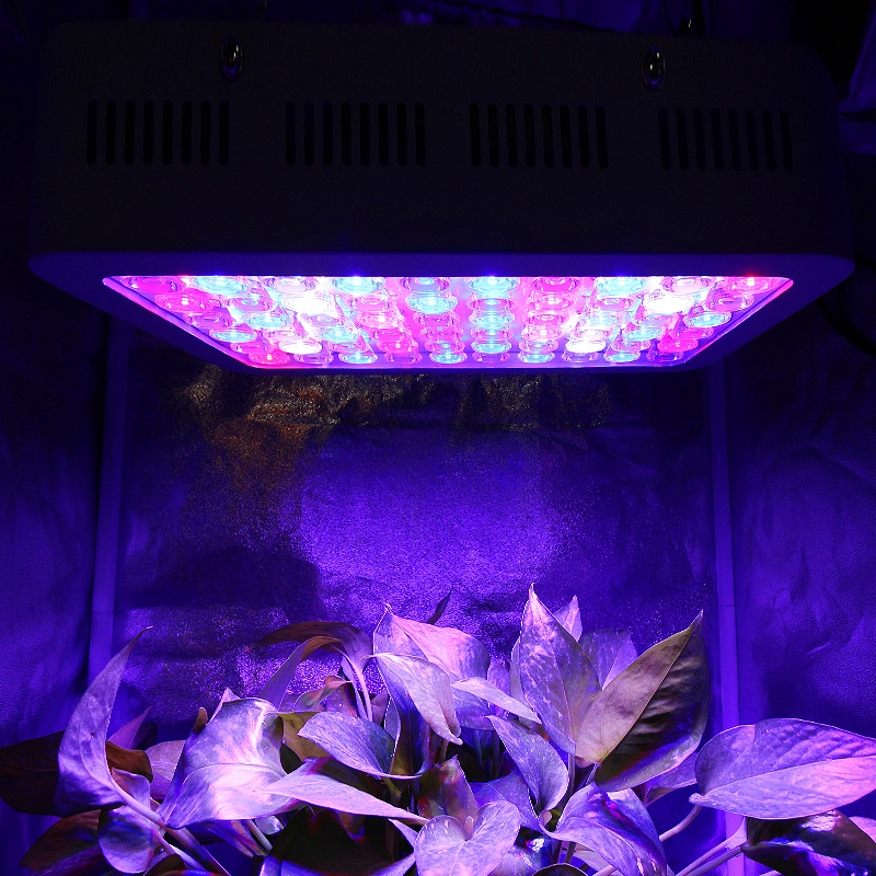 Shenpu 600W LED Grow Light Plant Lamp AC 85 - 265V