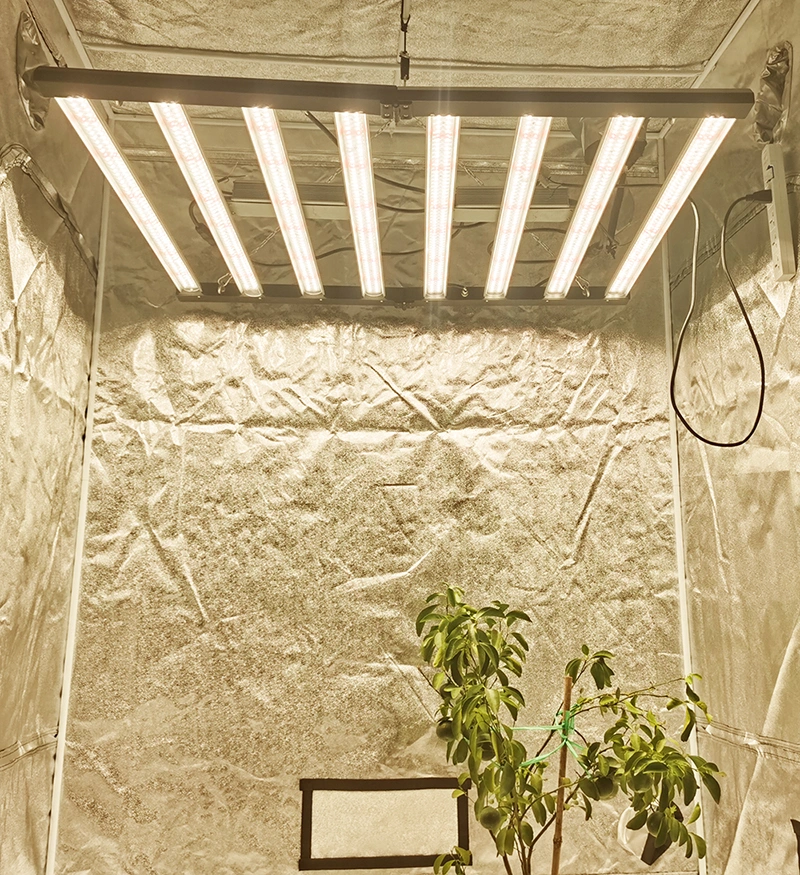 400W LED Grow Light Full Spectrum for Greenhouse Indoor Plants White LED Grow Light