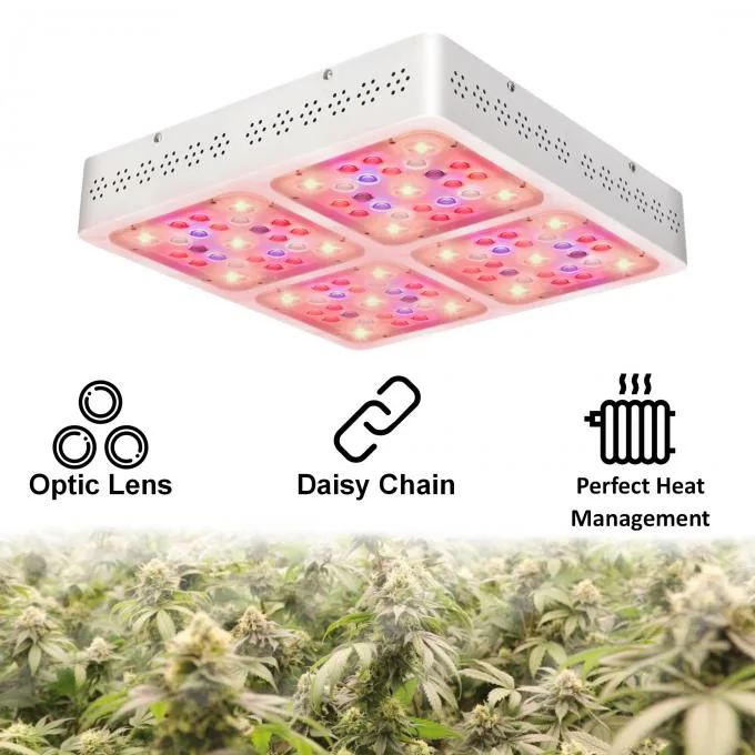 Indoor Planting 400W COB LED Grow Light Panel for Seed Starting IP54