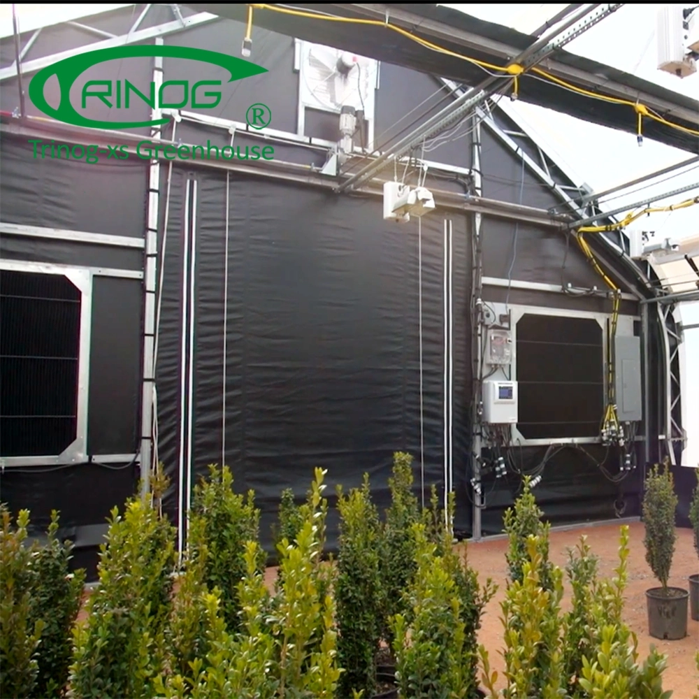 LED lighting hemp CBD light deprivation greenhouse in blackout system for hemp planting